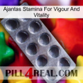 Ajantas Stamina For Vigour And Vitality 30